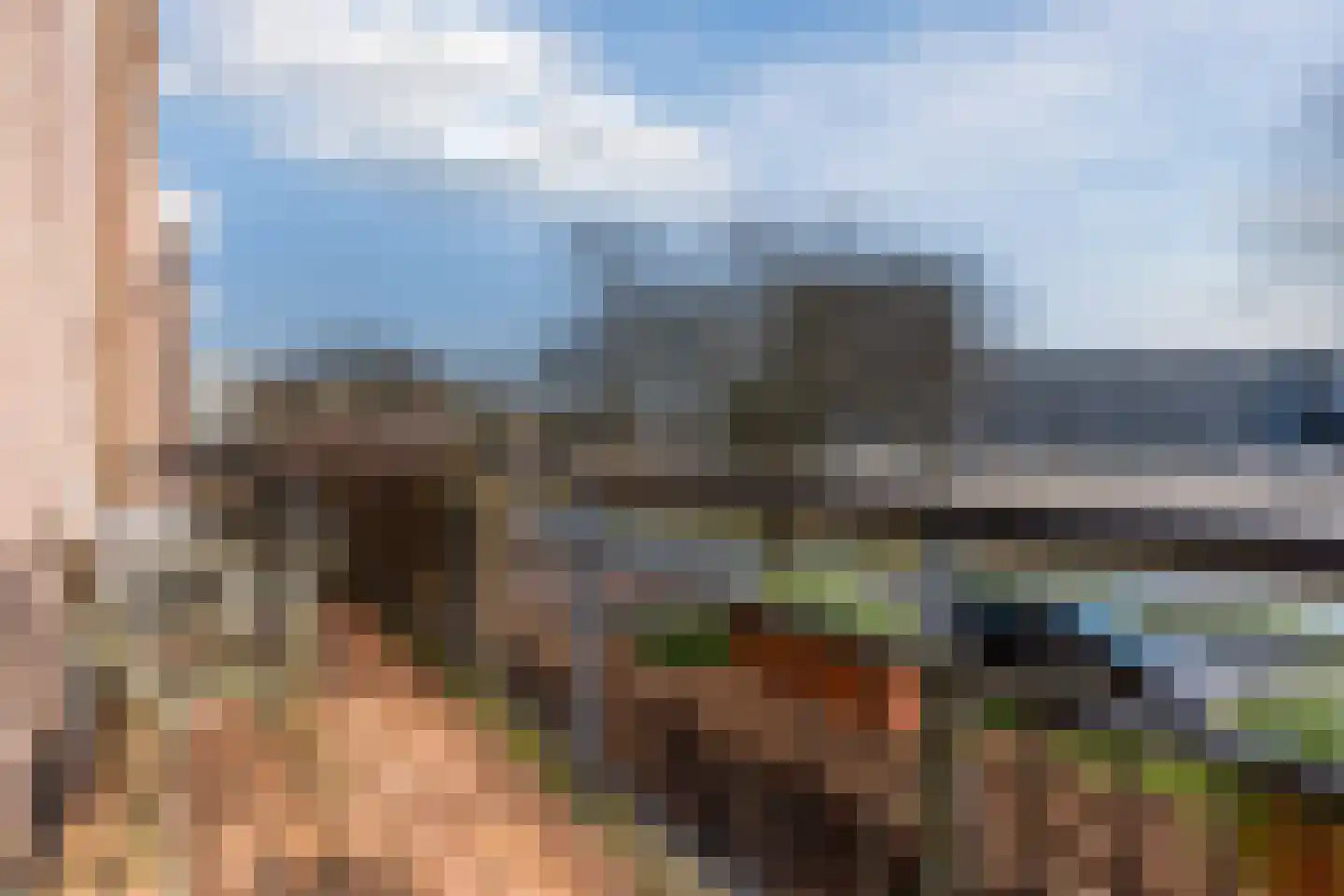 Veldbeemdgras 32 Zwolle thumbnail 16