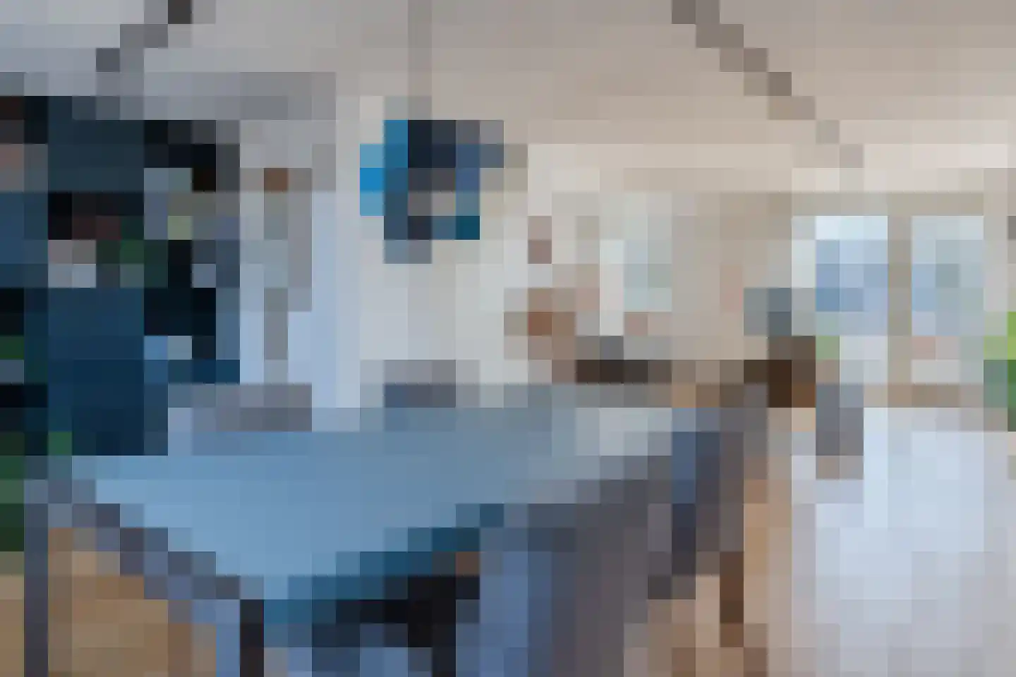 Veldbeemdgras 32 Zwolle thumbnail 21