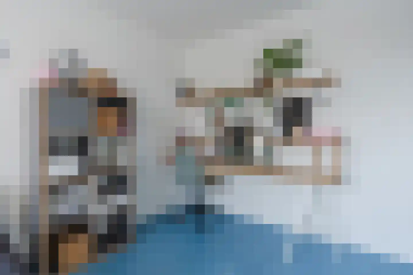 Veldbeemdgras 32 Zwolle thumbnail 32