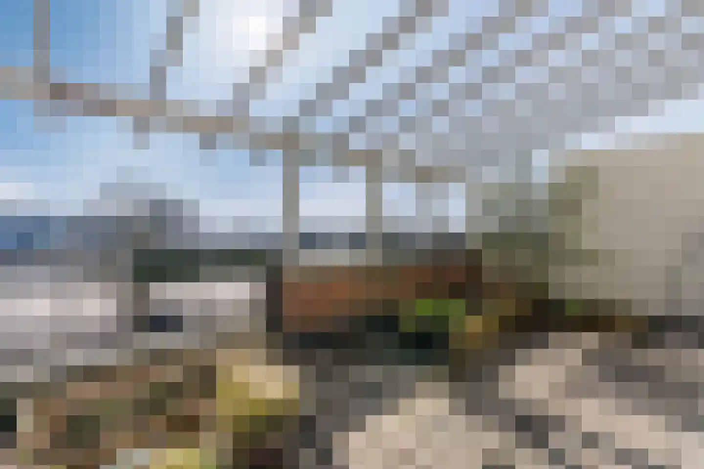 Veldbeemdgras 32 Zwolle thumbnail 41