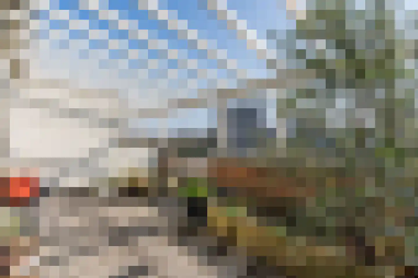 Veldbeemdgras 32 Zwolle thumbnail 42