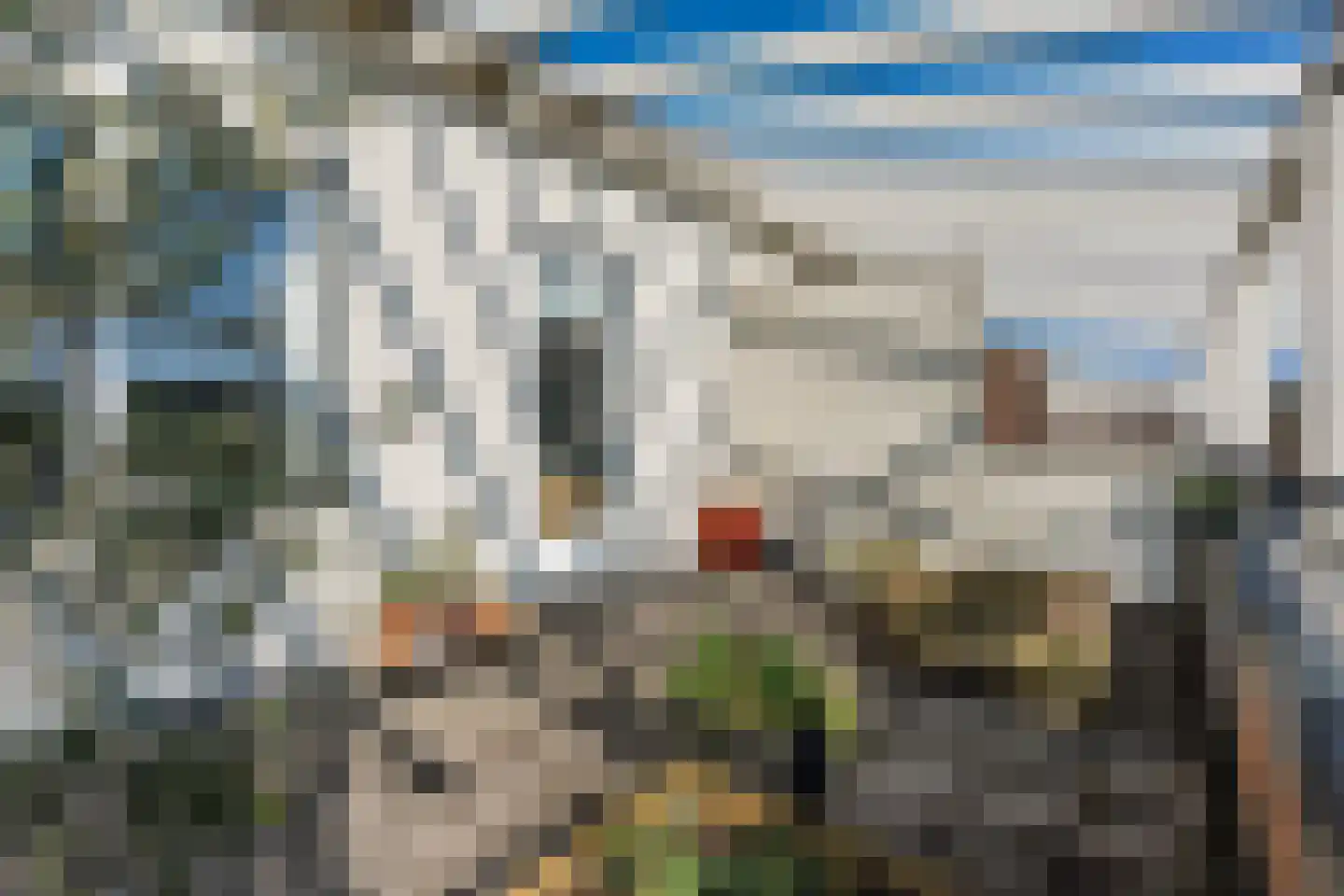 Veldbeemdgras 32 Zwolle thumbnail 43