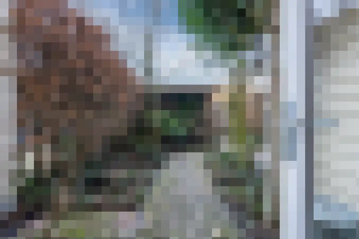 Veldbeemdgras 32 Zwolle thumbnail 45