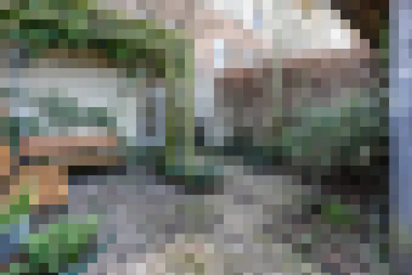 Veldbeemdgras 32 Zwolle thumbnail 47