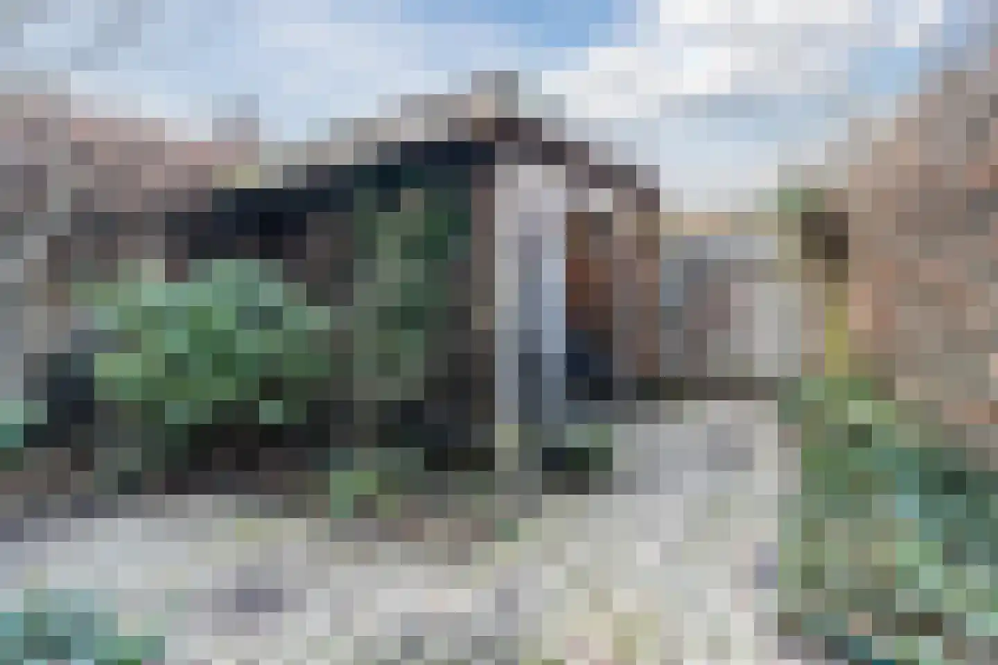 Veldbeemdgras 32 Zwolle thumbnail 48