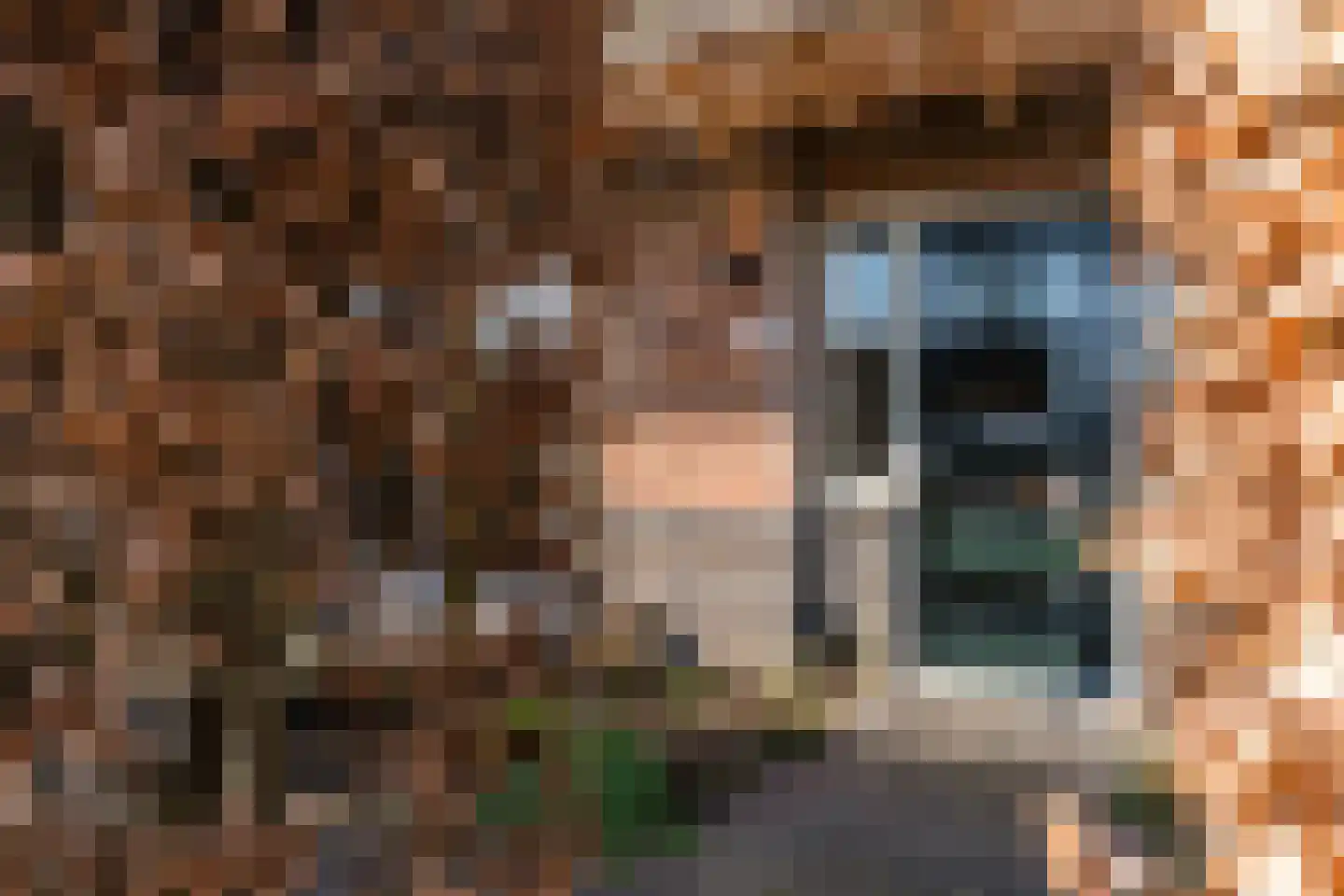 Veldbeemdgras 32 Zwolle thumbnail 51
