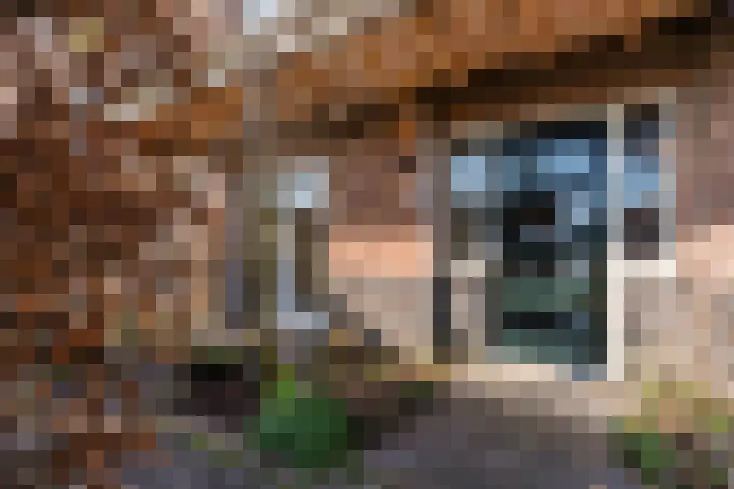 Veldbeemdgras 32 Zwolle thumbnail 52