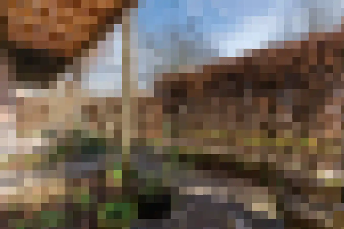 Veldbeemdgras 32 Zwolle thumbnail 53