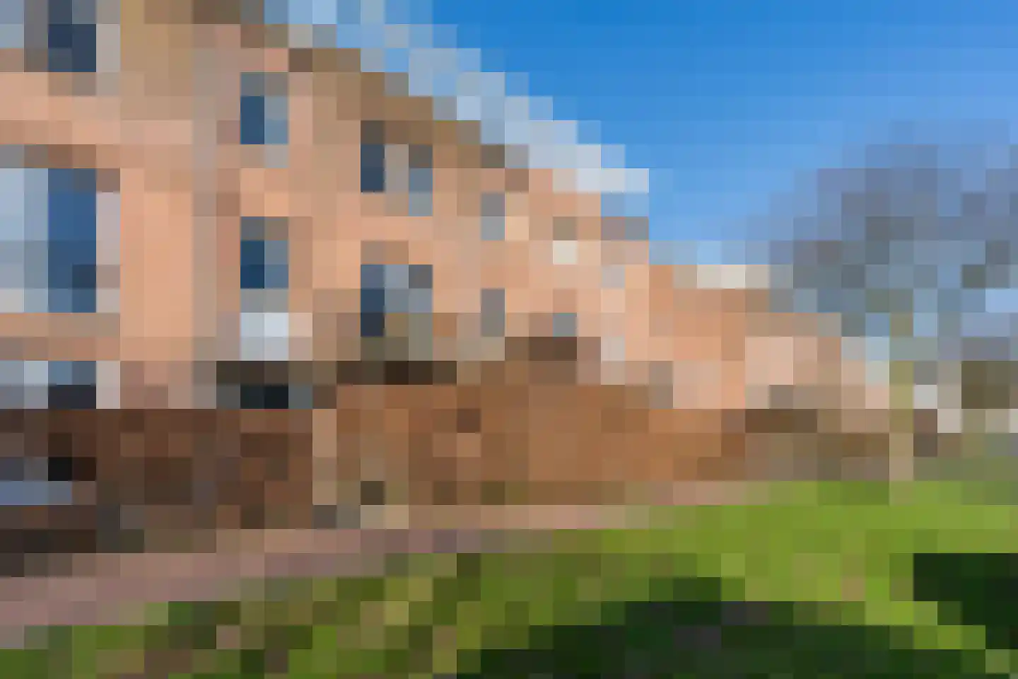 Veldbeemdgras 32 Zwolle thumbnail 54