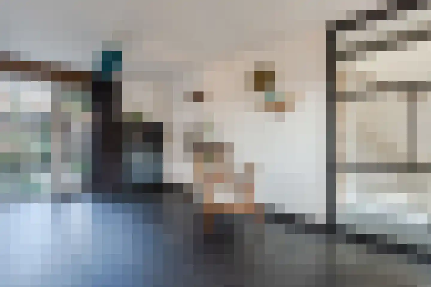Veldbeemdgras 32 Zwolle thumbnail 7
