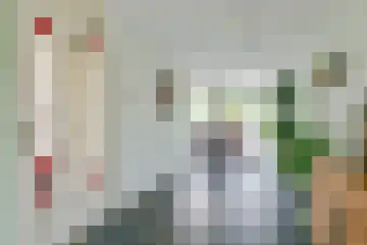Veldbies 13 Abbekerk thumbnail 10