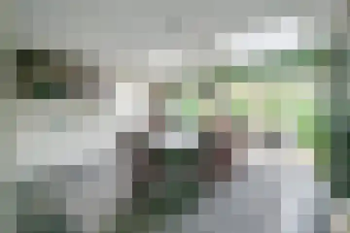 Veldbies 13 Abbekerk thumbnail 11