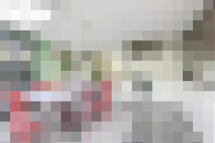 Veldbies 13 Abbekerk thumbnail 13