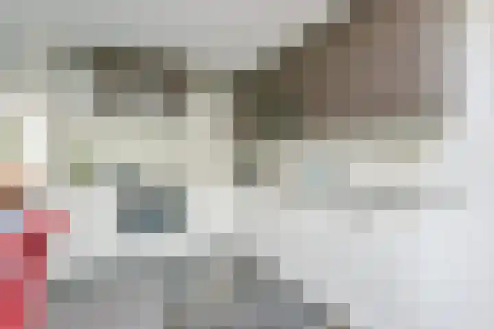 Veldbies 13 Abbekerk thumbnail 14