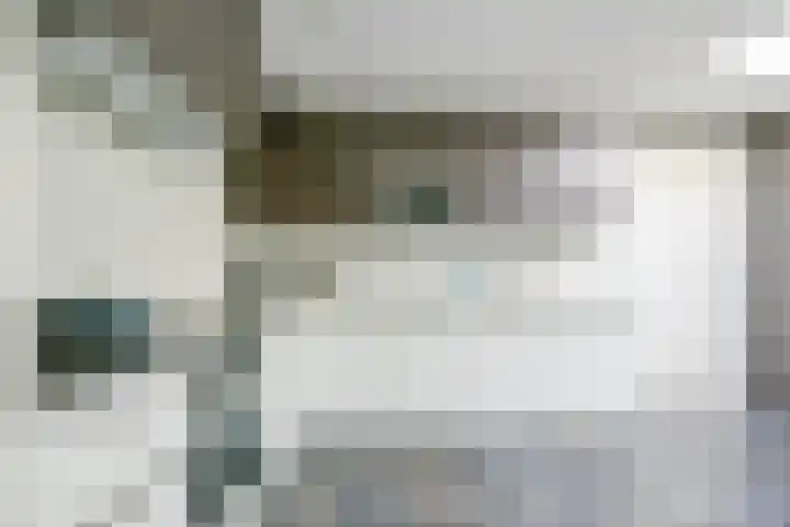 Veldbies 13 Abbekerk thumbnail 15