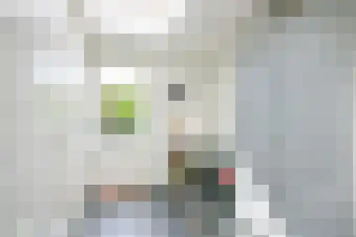 Veldbies 13 Abbekerk thumbnail 16