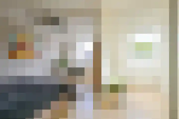 Veldbies 13 Abbekerk thumbnail 18
