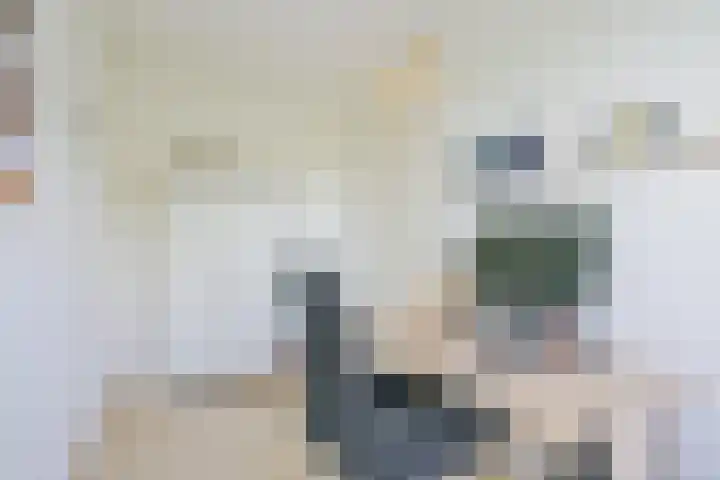 Veldbies 13 Abbekerk thumbnail 23