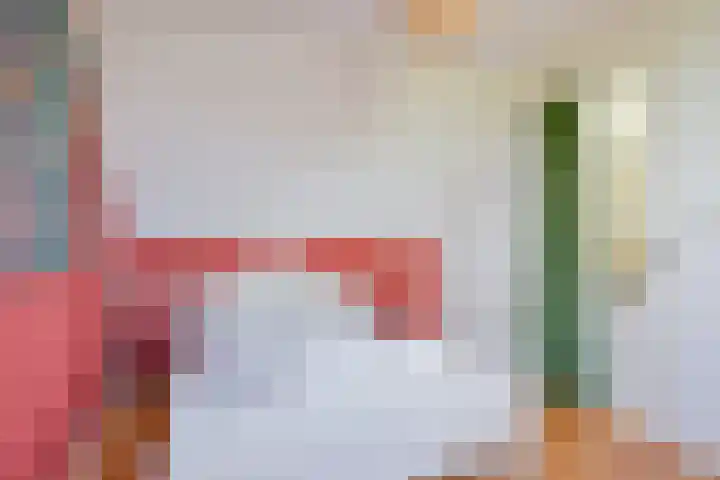 Veldbies 13 Abbekerk thumbnail 29