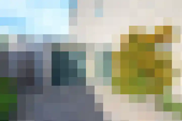 Veldbies 13 Abbekerk thumbnail 30