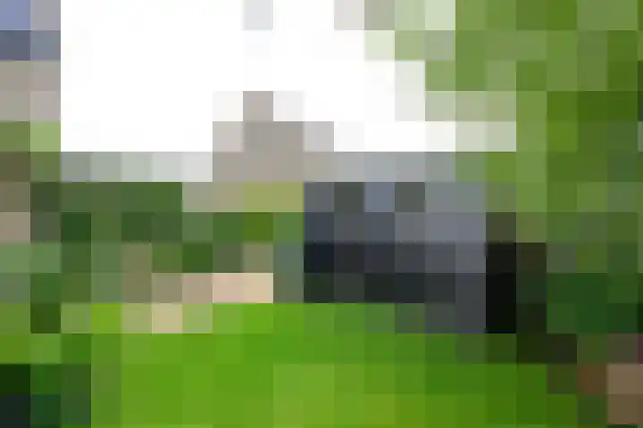 Veldbies 13 Abbekerk thumbnail 31
