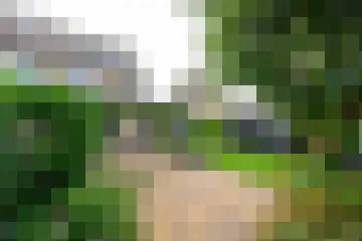 Veldbies 13 Abbekerk thumbnail 33