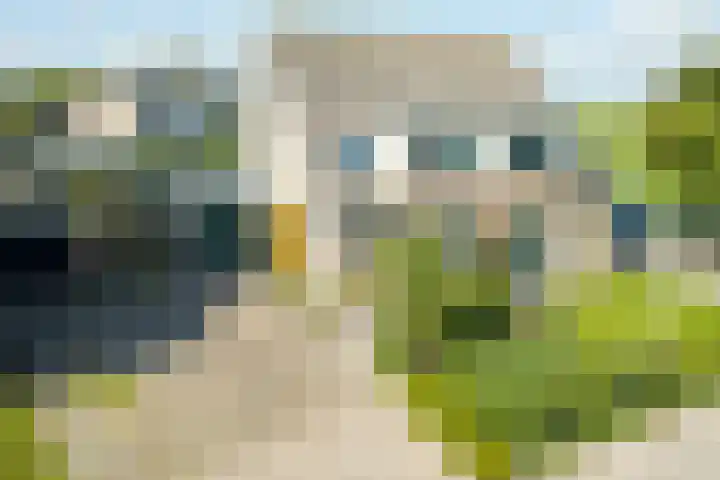 Veldbies 13 Abbekerk thumbnail 37