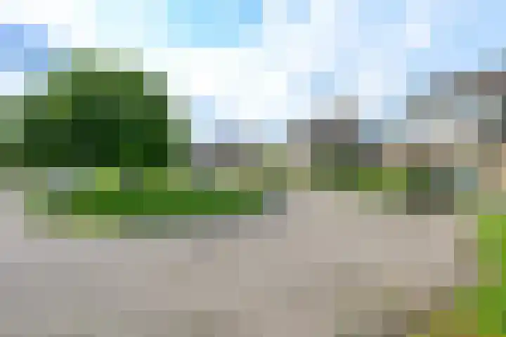 Veldbies 13 Abbekerk thumbnail 38
