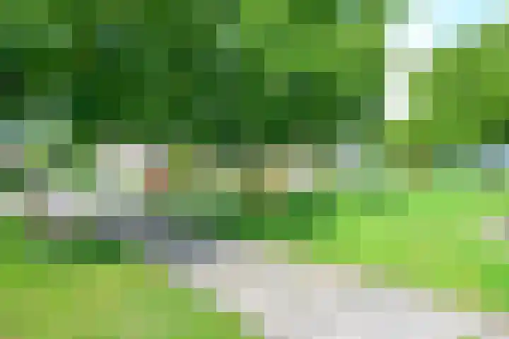 Veldbies 13 Abbekerk thumbnail 39