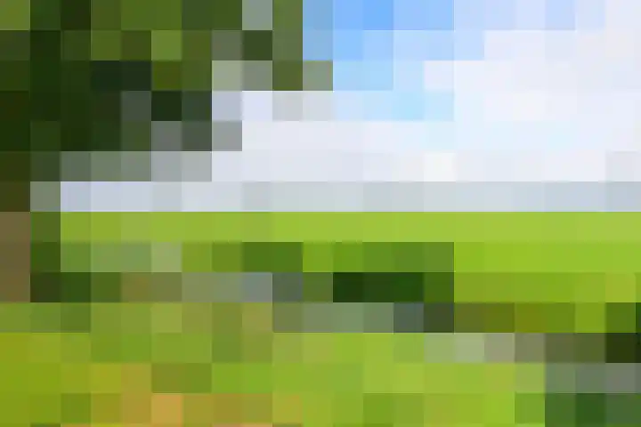 Veldbies 13 Abbekerk thumbnail 4