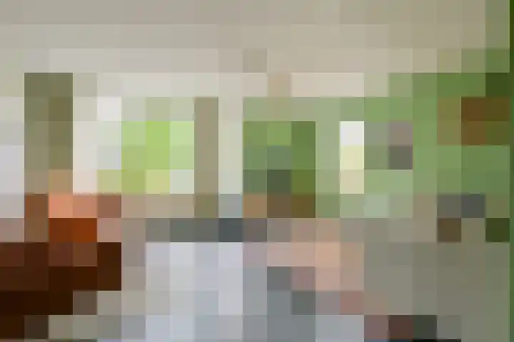 Veldbies 13 Abbekerk thumbnail 9