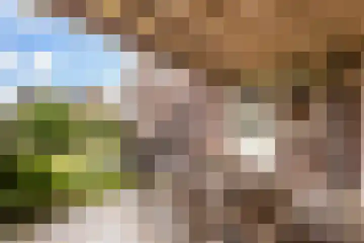 Veldbies 15 Mariënheem thumbnail 27
