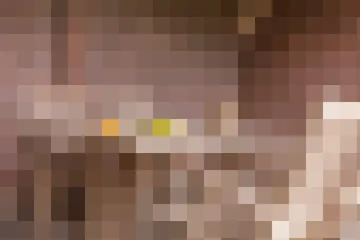 Veldbies 15 Mariënheem thumbnail 28
