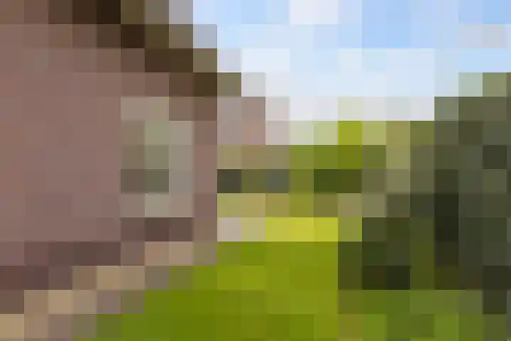 Veldbies 15 Mariënheem thumbnail 30