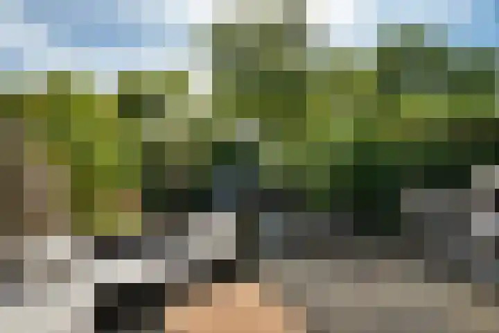 Veldbies 26 Leeuwarden thumbnail 26
