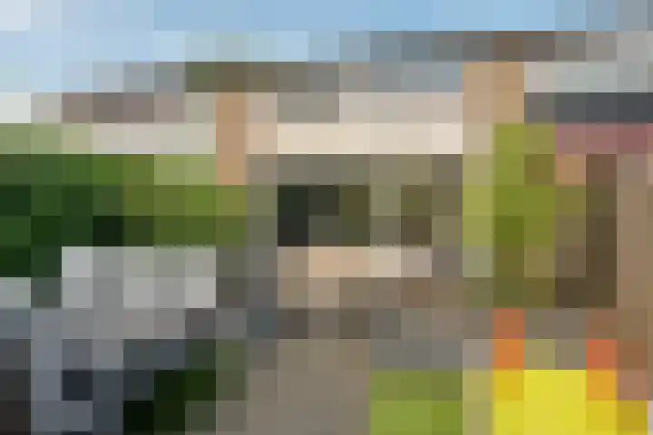 Veldbies 26 Leeuwarden thumbnail 27