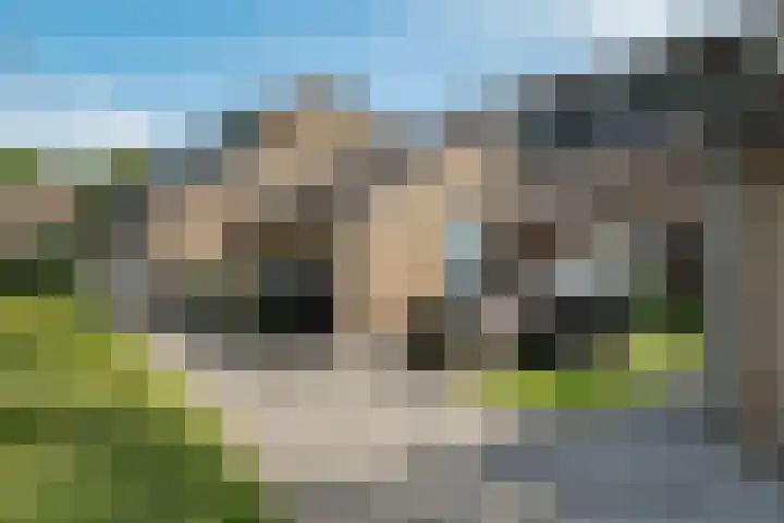 Veldbies 26 Leeuwarden thumbnail 32