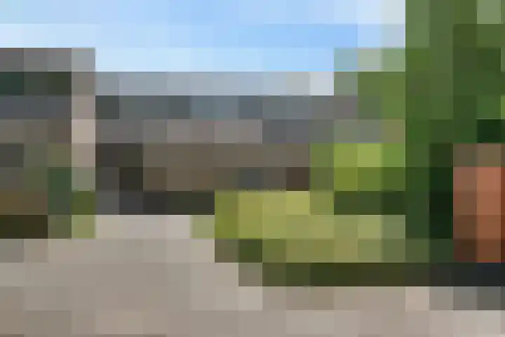 Veldbies 26 Leeuwarden thumbnail 33
