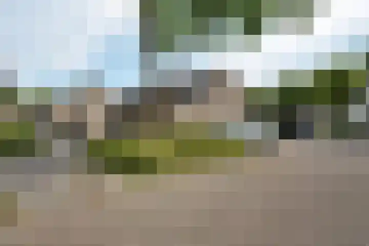 Veldbies 26 Leeuwarden thumbnail 34