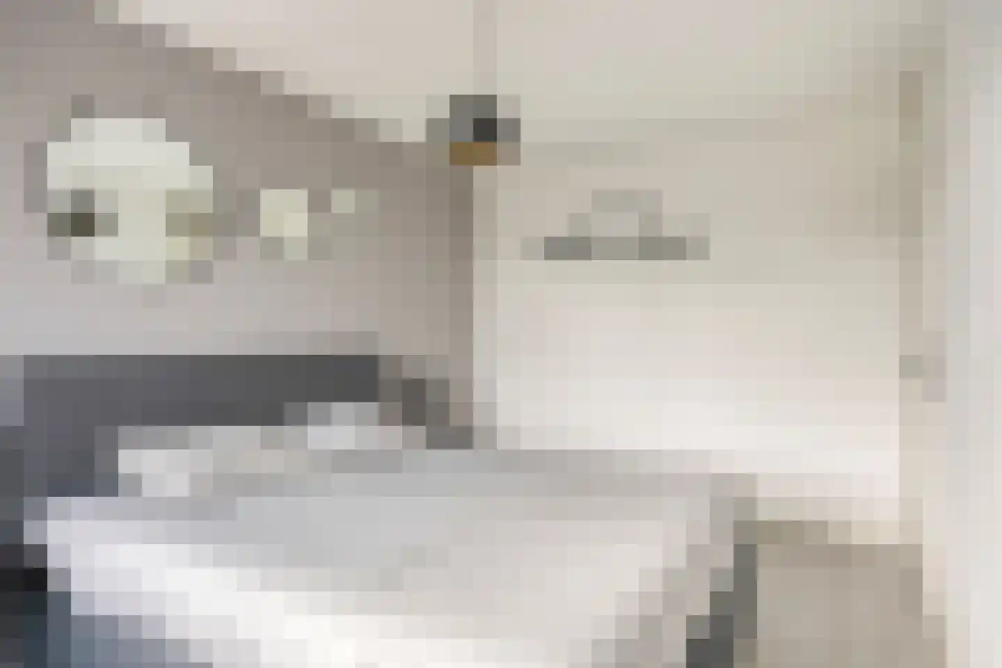 Veldbies 29 Terheijden thumbnail 14