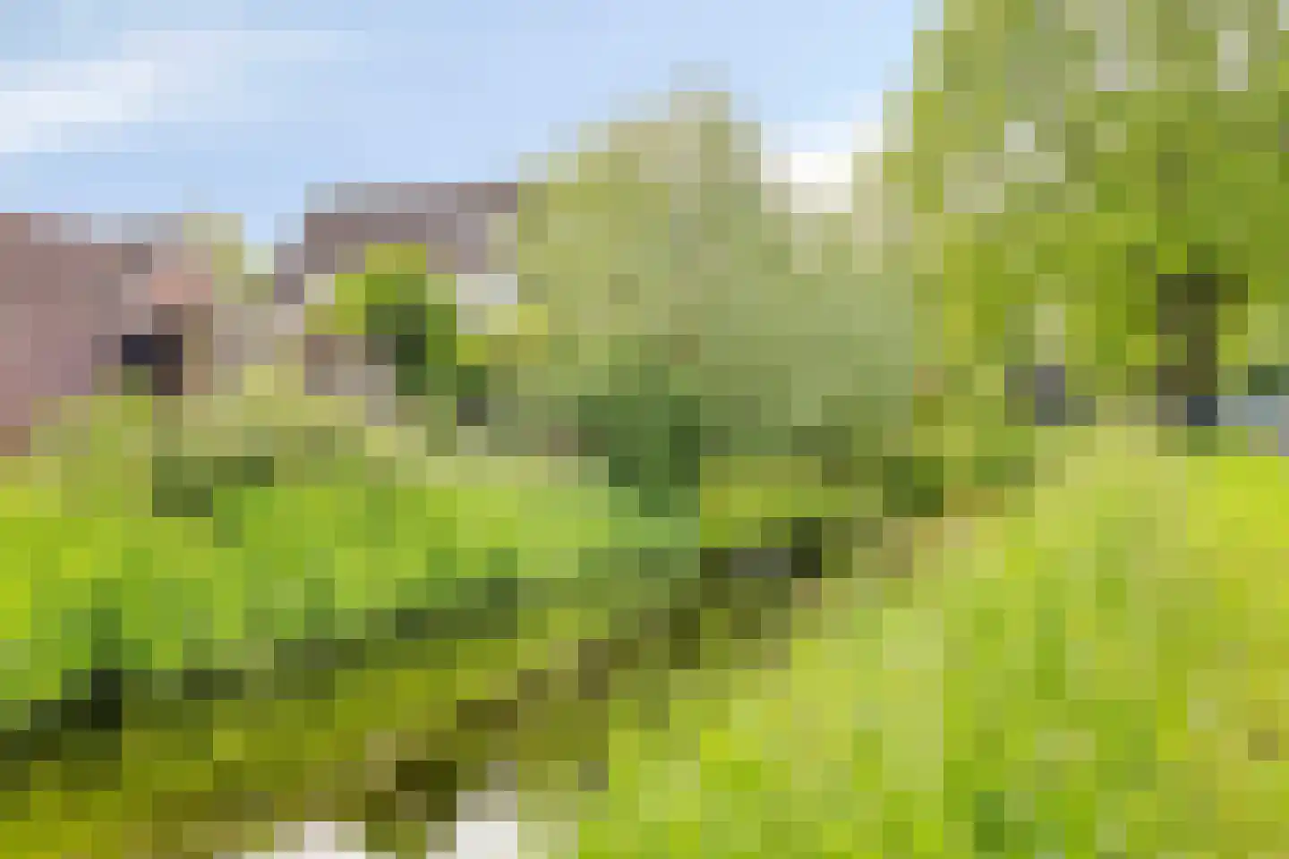Veldbies 29 Terheijden thumbnail 27