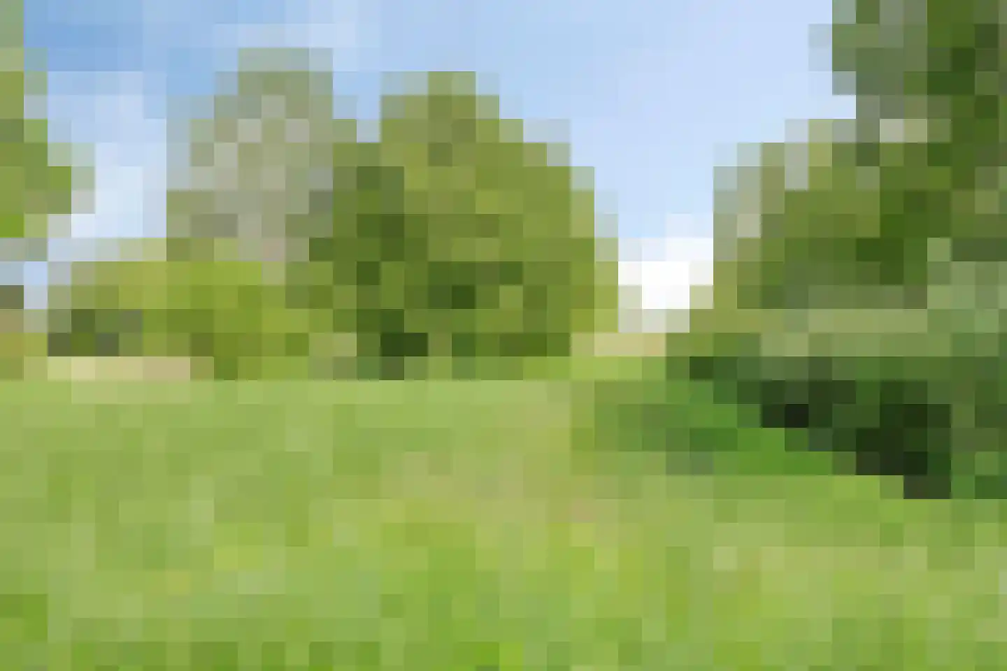 Veldbies 29 Terheijden thumbnail 28