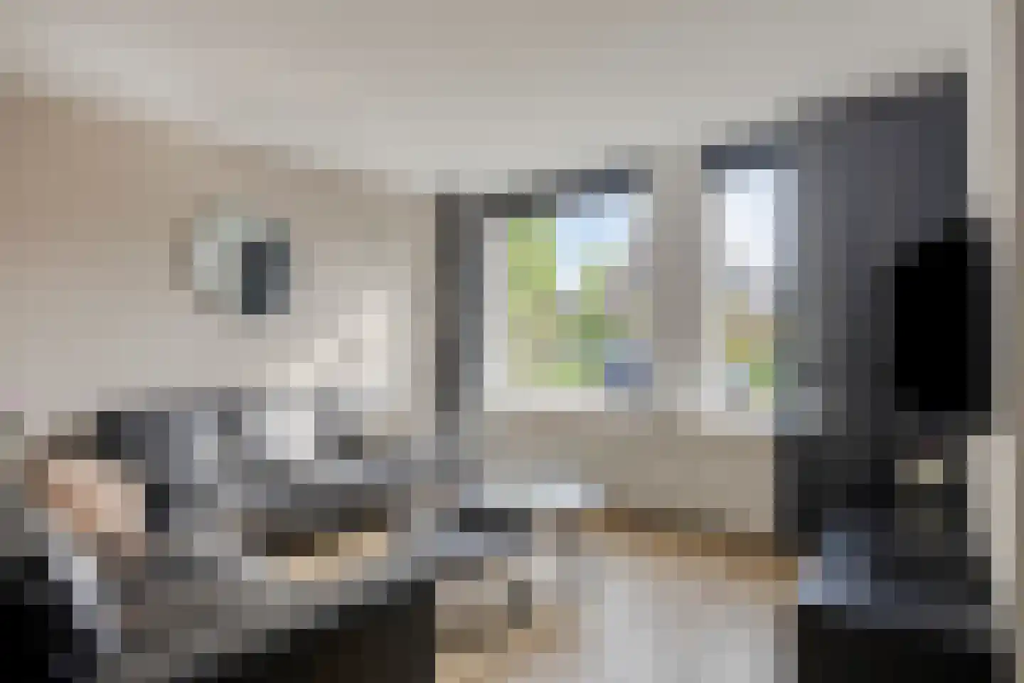Veldbies 29 Terheijden thumbnail 7