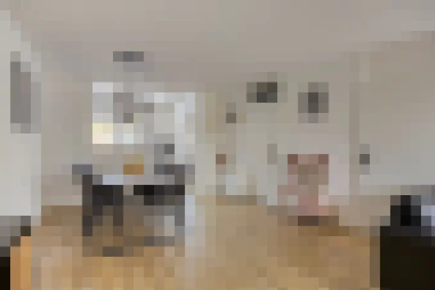 Veldbies 29 Terheijden thumbnail 9