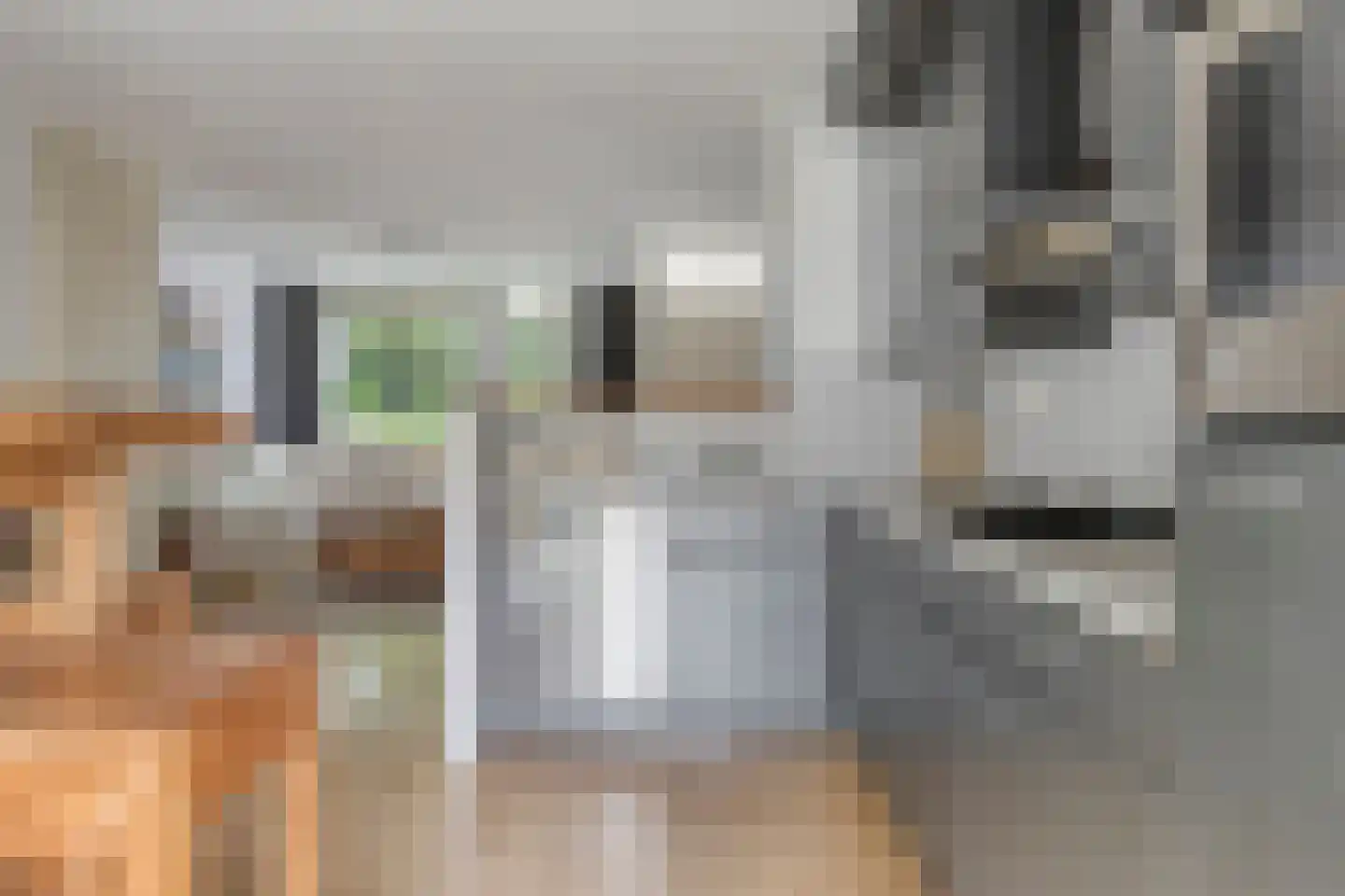 Veldbies 33 Terheijden thumbnail 12