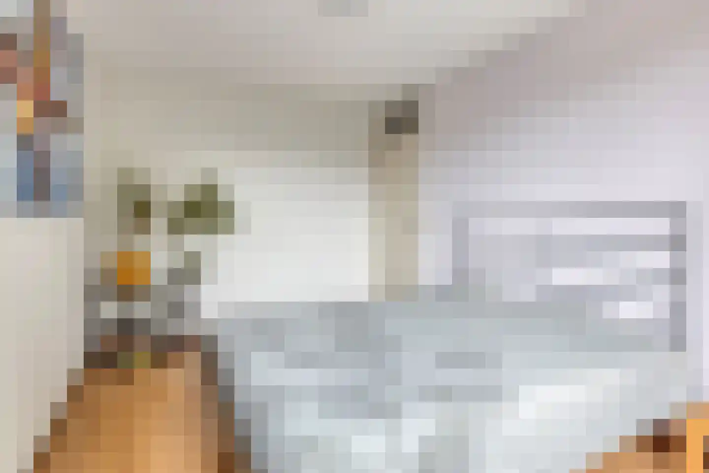 Veldbies 33 Terheijden thumbnail 16