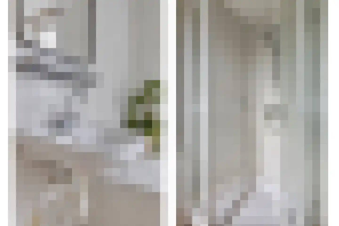 Veldbies 33 Terheijden thumbnail 18