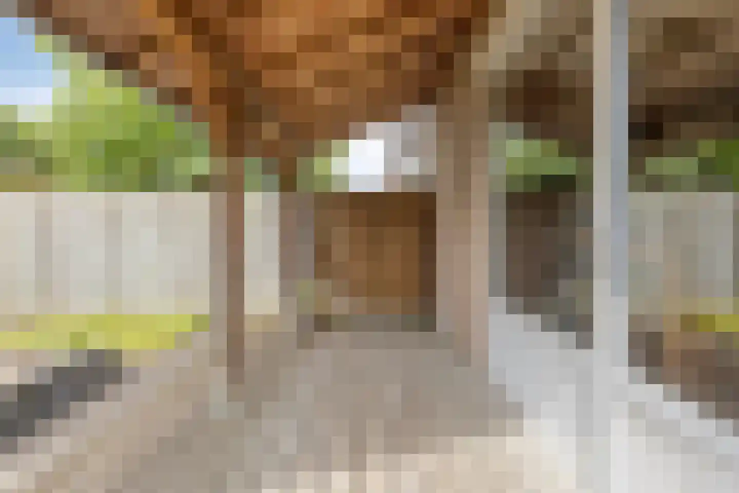 Veldbies 33 Terheijden thumbnail 25