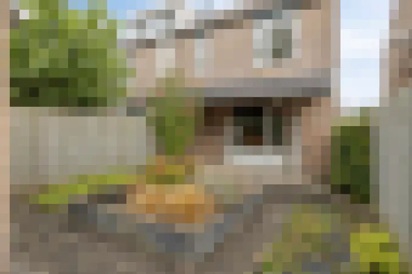 Veldbies 33 Terheijden thumbnail 28