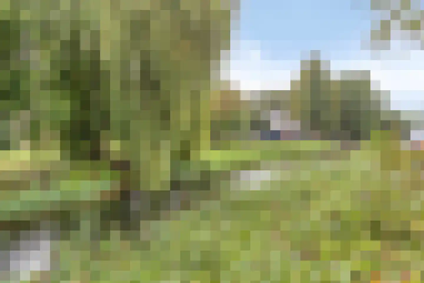 Veldbies 33 Terheijden thumbnail 29